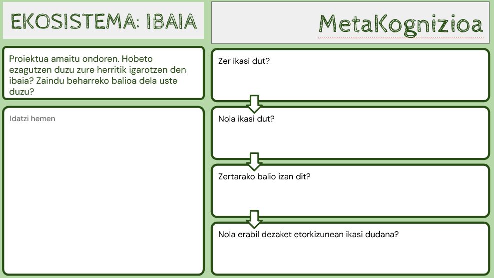 Metakogniziorako kontrol-fitxa